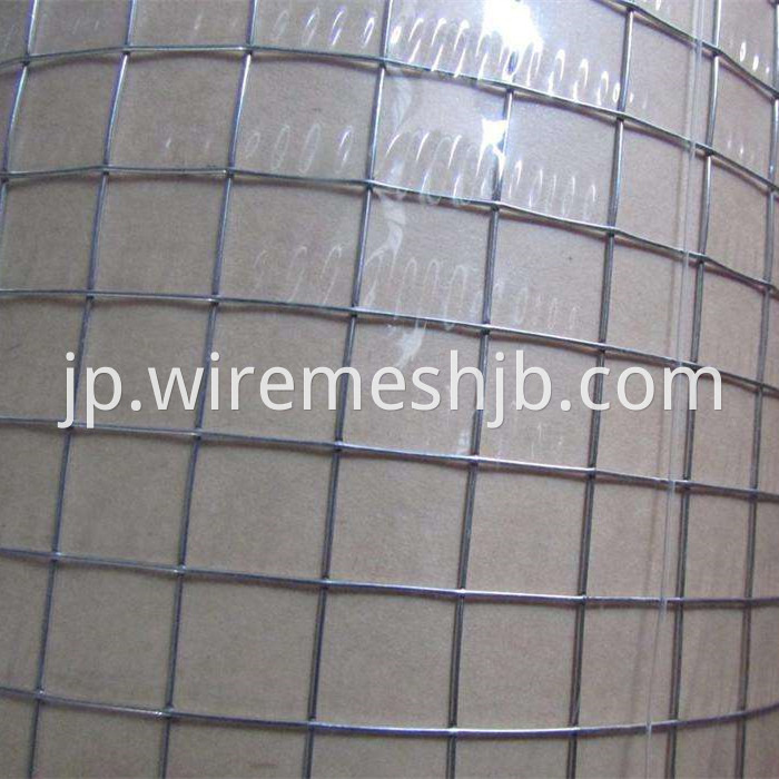 Welded Wire Mesh